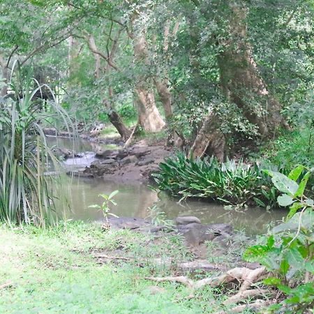 Nature Glow Cottage Udawalawe Bagian luar foto