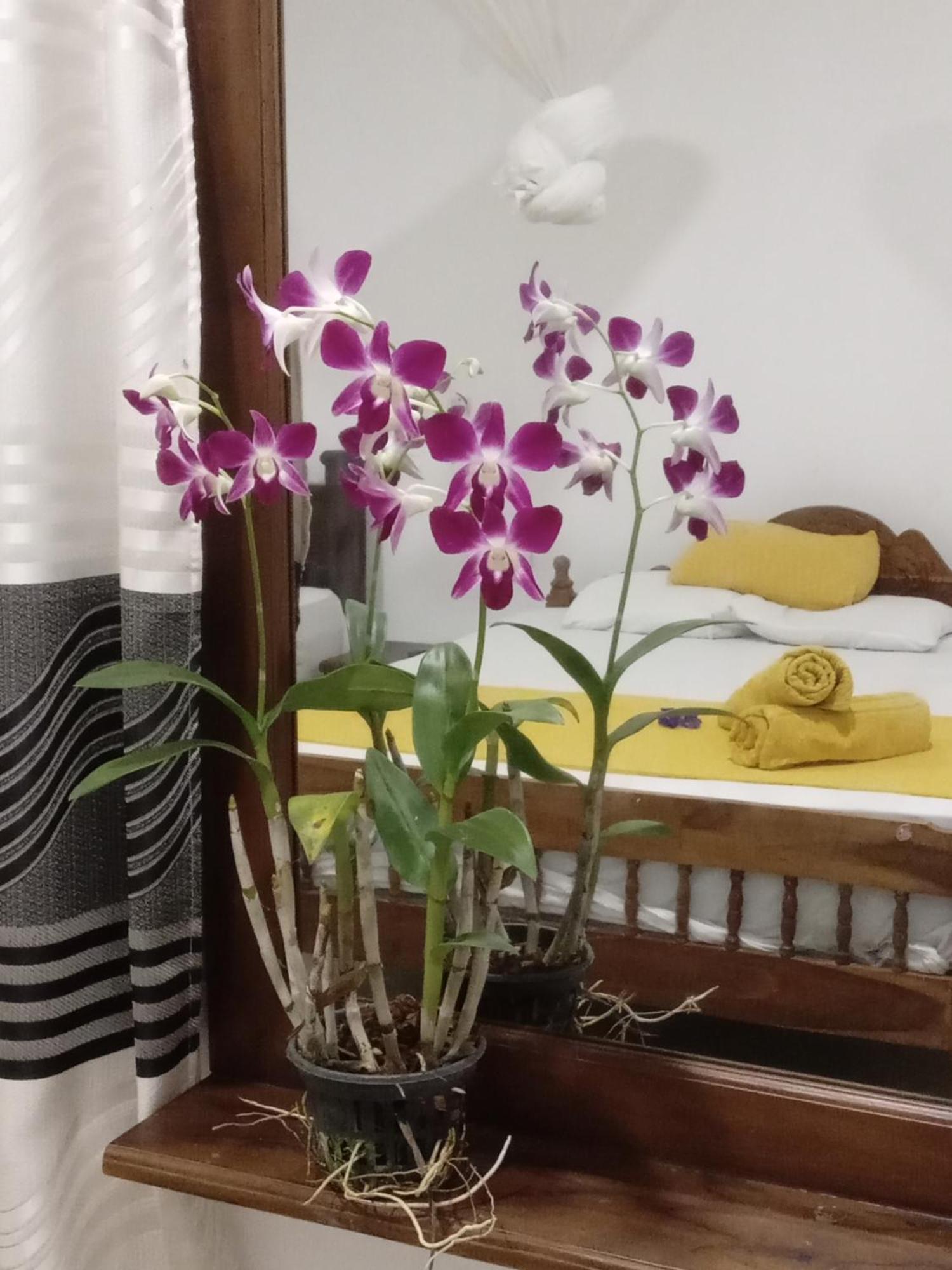 Nature Glow Cottage Udawalawe Bagian luar foto