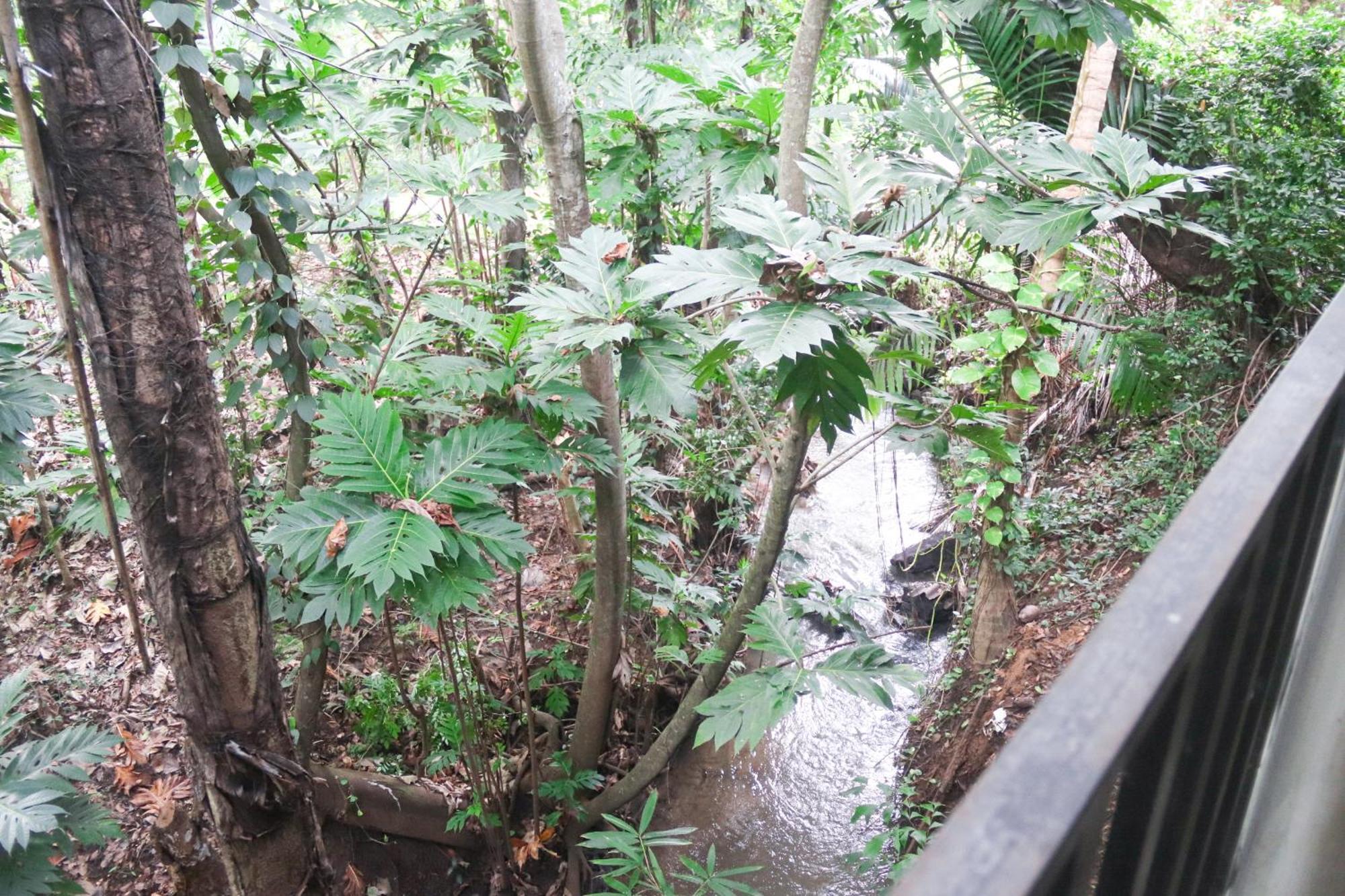 Nature Glow Cottage Udawalawe Bagian luar foto