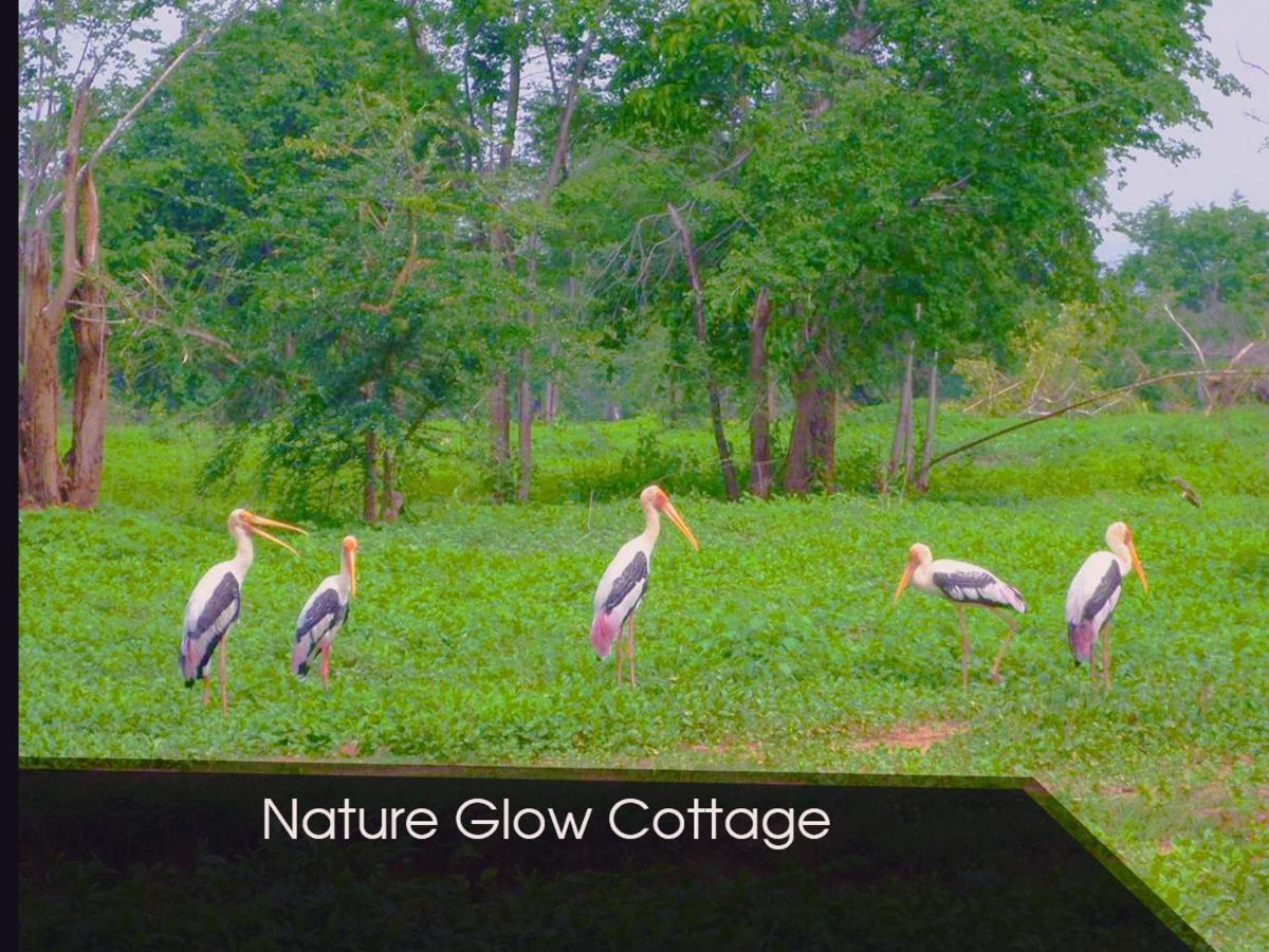 Nature Glow Cottage Udawalawe Bagian luar foto