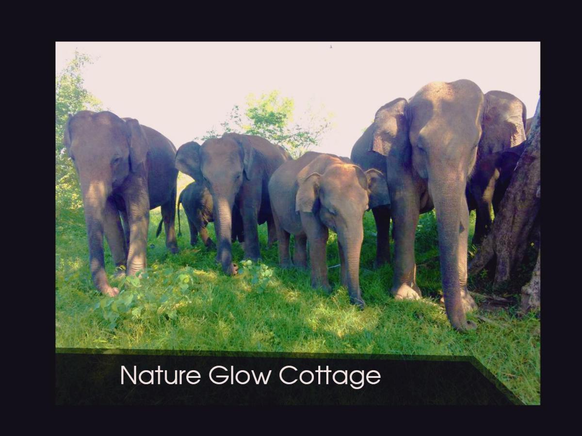 Nature Glow Cottage Udawalawe Bagian luar foto